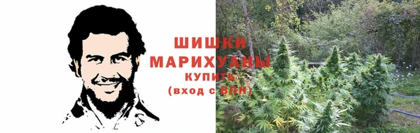 мдпв Киреевск