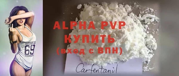 PSILOCYBIN Кинешма