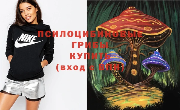 мдпв Киреевск