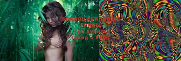PSILOCYBIN Кинешма
