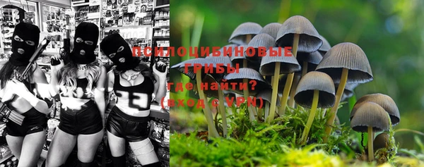 PSILOCYBIN Кинешма