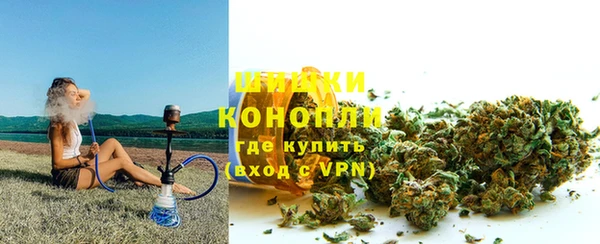 мдпв Киреевск