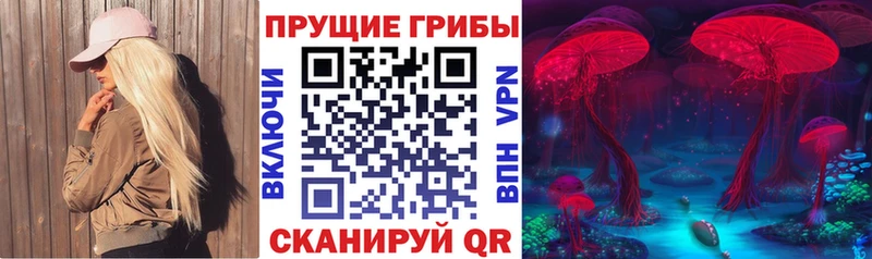 Галлюциногенные грибы мицелий  Купить  Дорогобуж 
